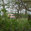 WdA-2026-04-25_10_40_41