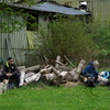 WdA-2026-04-25_15_46_19