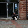 WdA-2026-04-25_17_15_44